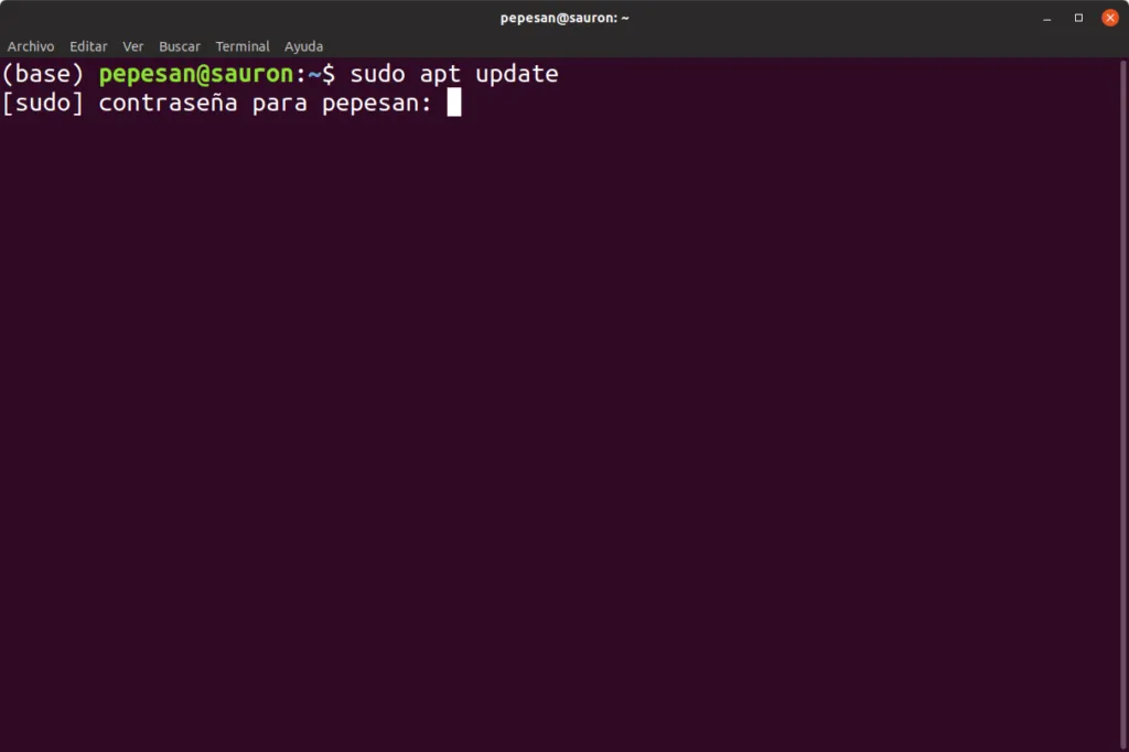 terminal ejecutando sudo