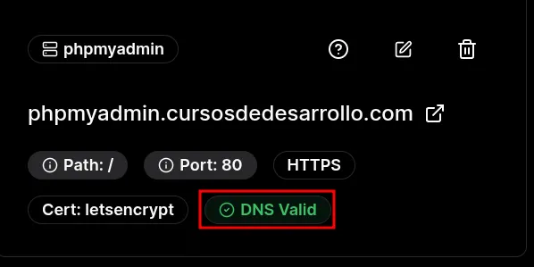 imagenes/dockploy/dokploy-10-service-custom-domain-validated-dns.png